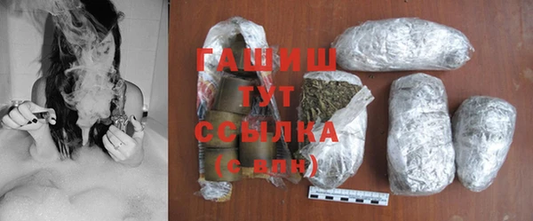 индика Бронницы
