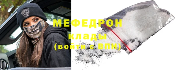 индика Бронницы