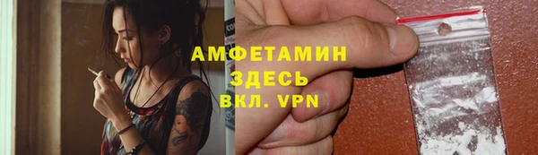 индика Бронницы