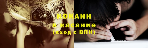 индика Бронницы
