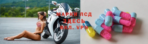 индика Бронницы