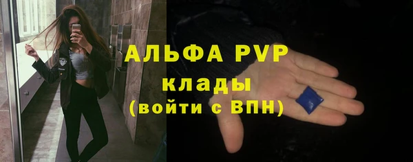 индика Бронницы