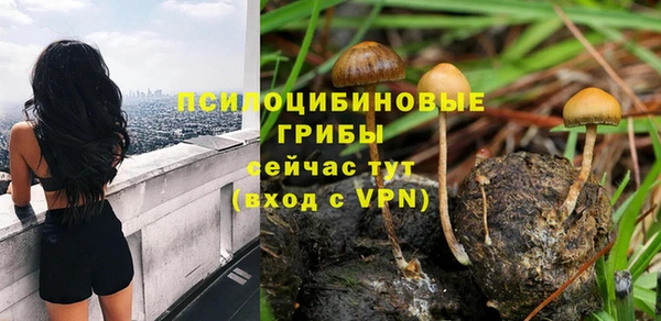 индика Бронницы