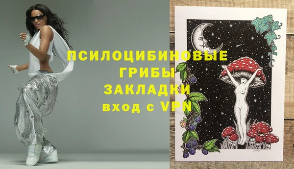 индика Бронницы