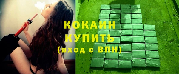 индика Бронницы