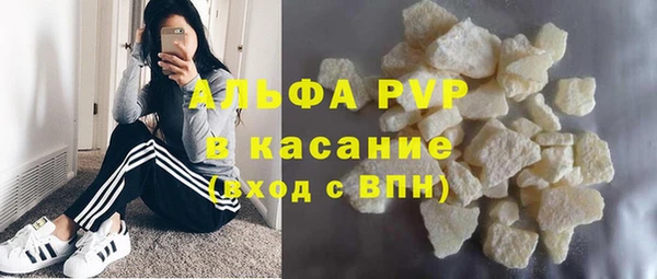 индика Бронницы