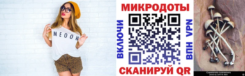 Купить закладки  Пикалёво  Галлюциногенные грибы Magic Shrooms 